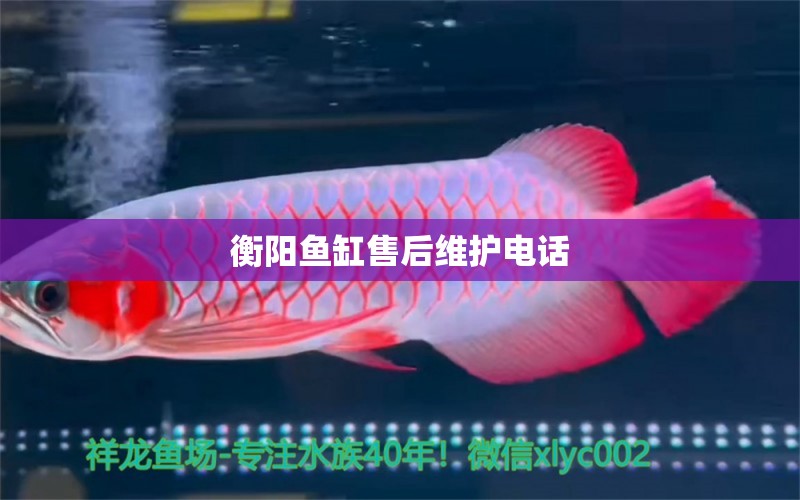 衡陽(yáng)魚(yú)缸售后維護(hù)電話(huà) 其他品牌魚(yú)缸