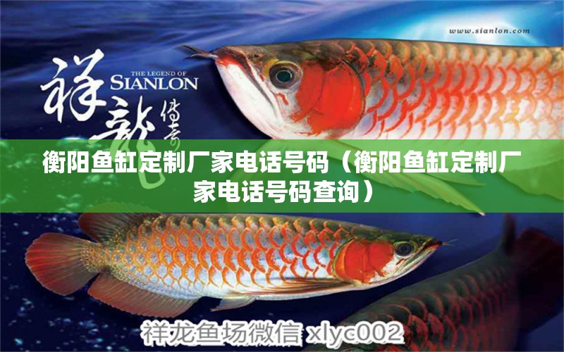 衡陽魚缸定制廠家電話號(hào)碼（衡陽魚缸定制廠家電話號(hào)碼查詢） 祥龍水族濾材/器材