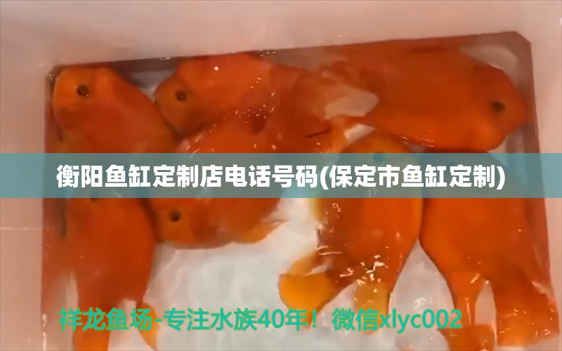 衡陽(yáng)魚缸定制店電話號(hào)碼(保定市魚缸定制) 祥龍魚藥系列