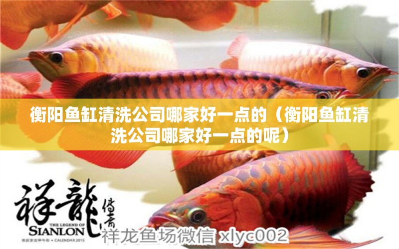 衡陽魚缸清洗公司哪家好一點的（衡陽魚缸清洗公司哪家好一點的呢） 丹頂錦鯉魚