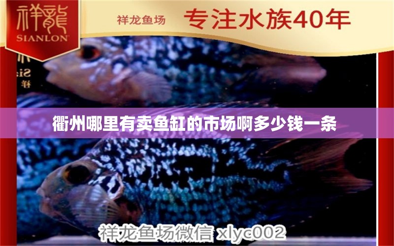 衢州哪里有賣魚缸的市場啊多少錢一條 