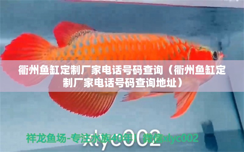 衢州魚(yú)缸定制廠家電話號(hào)碼查詢（衢州魚(yú)缸定制廠家電話號(hào)碼查詢地址）