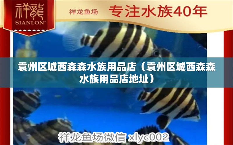 袁州區(qū)城西森森水族用品店（袁州區(qū)城西森森水族用品店地址） 水族用品