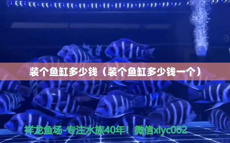 裝個(gè)魚(yú)缸多少錢(qián)（裝個(gè)魚(yú)缸多少錢(qián)一個(gè)） 量子養(yǎng)魚(yú)技術(shù)