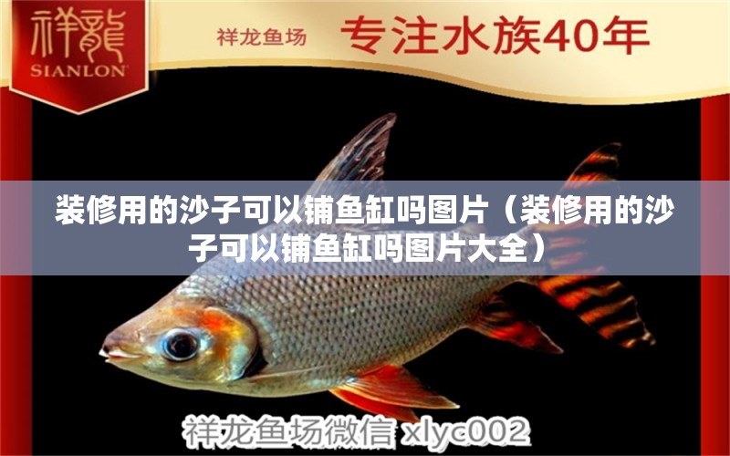 裝修用的沙子可以鋪魚缸嗎圖片（裝修用的沙子可以鋪魚缸嗎圖片大全）