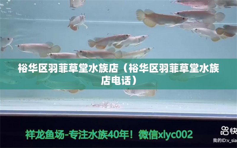 裕華區(qū)羽菲草堂水族店（裕華區(qū)羽菲草堂水族店電話） 全國(guó)水族館企業(yè)名錄