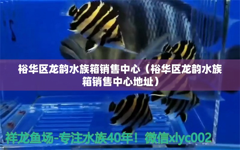 裕華區(qū)龍韻水族箱銷售中心（裕華區(qū)龍韻水族箱銷售中心地址） 魚缸/水族箱