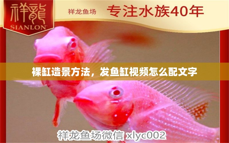 裸缸造景方法，發(fā)魚缸視頻怎么配文字