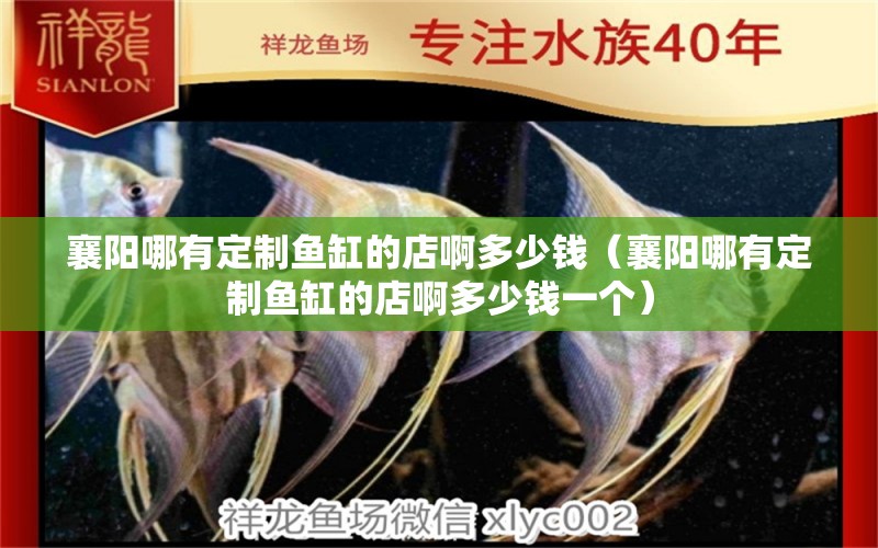 襄陽(yáng)哪有定制魚缸的店啊多少錢（襄陽(yáng)哪有定制魚缸的店啊多少錢一個(gè)）