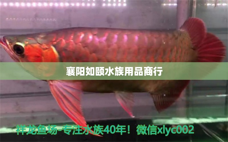 襄陽(yáng)如頤水族用品商行