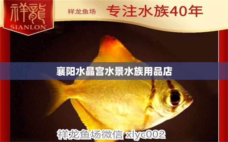 襄陽水晶宮水景水族用品店 水族用品