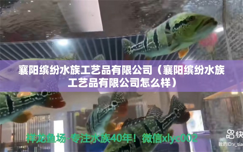 襄陽繽紛水族工藝品有限公司（襄陽繽紛水族工藝品有限公司怎么樣）