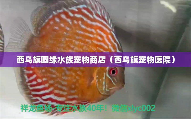 西烏旗圓緣水族寵物商店（西烏旗寵物醫(yī)院） 全國水族館企業(yè)名錄