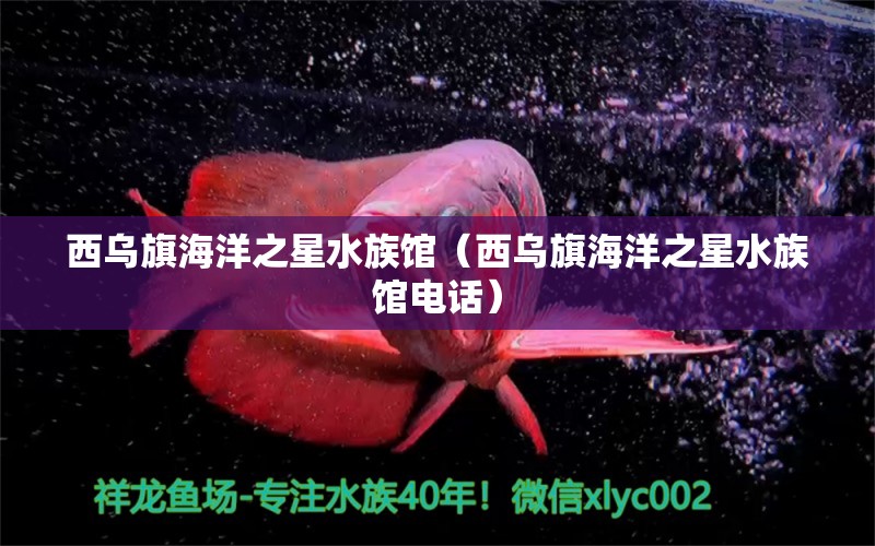 西烏旗海洋之星水族館（西烏旗海洋之星水族館電話） 全國(guó)水族館企業(yè)名錄