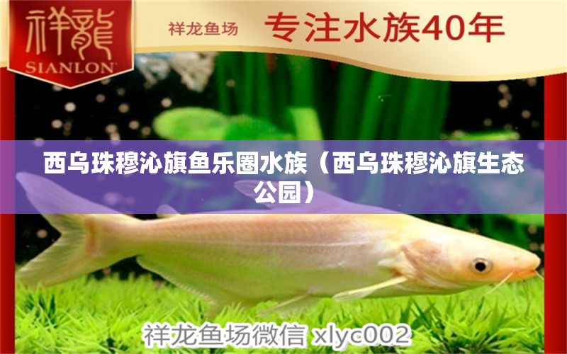 西烏珠穆沁旗魚樂圈水族（西烏珠穆沁旗生態(tài)公園）