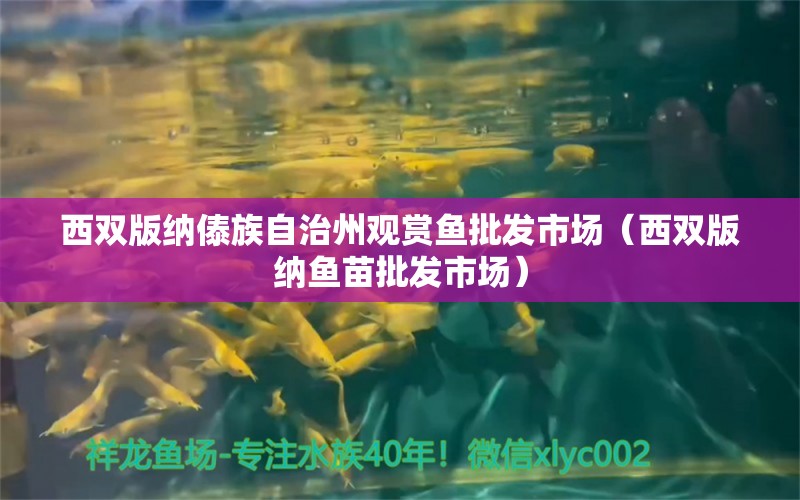 西雙版納傣族自治州觀賞魚批發(fā)市場(chǎng)（西雙版納魚苗批發(fā)市場(chǎng)）