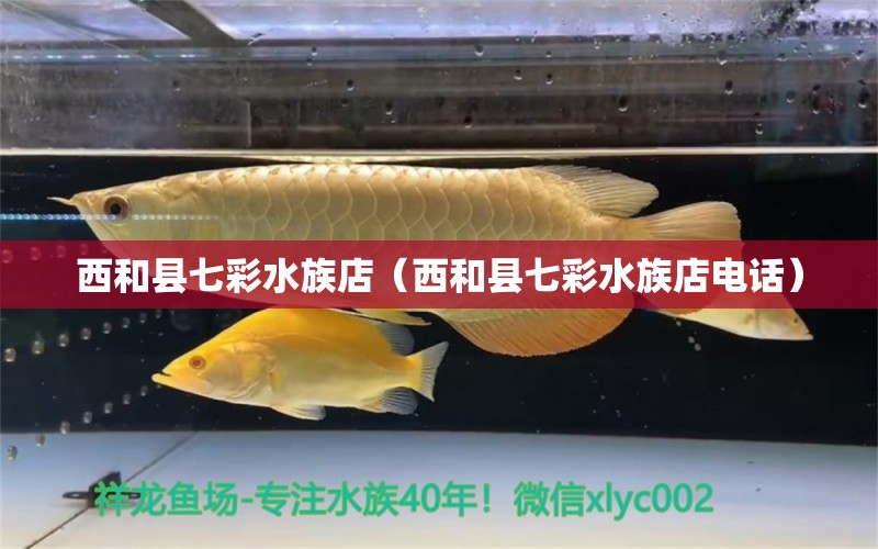 西和縣七彩水族店（西和縣七彩水族店電話） 全國(guó)水族館企業(yè)名錄