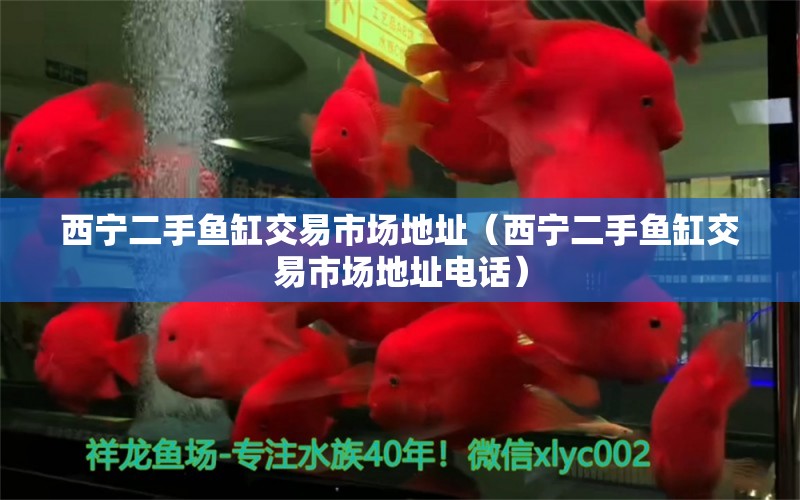 西寧二手魚缸交易市場地址（西寧二手魚缸交易市場地址電話）