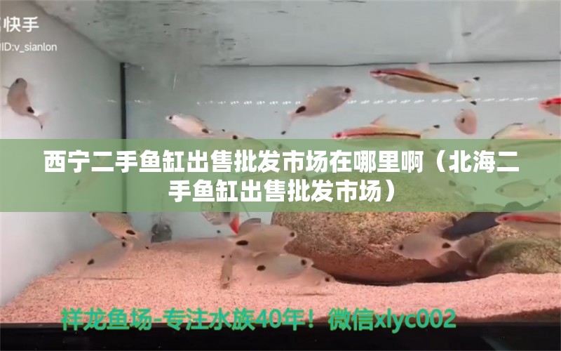 西寧二手魚缸出售批發(fā)市場在哪里?。ū焙６拄~缸出售批發(fā)市場） 溫控設備