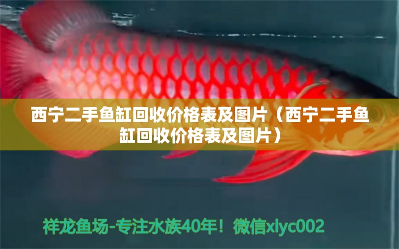 西寧二手魚缸回收價(jià)格表及圖片（西寧二手魚缸回收價(jià)格表及圖片） 觀賞魚