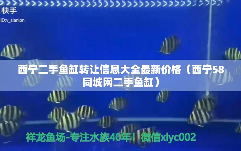 西寧二手魚缸轉(zhuǎn)讓信息大全最新價(jià)格（西寧58同城網(wǎng)二手魚缸） 豬鼻龜