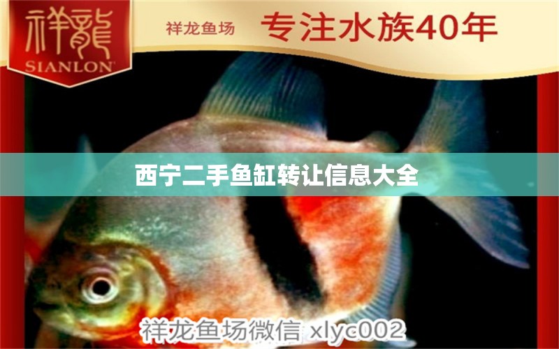 西寧二手魚缸轉(zhuǎn)讓信息大全  馬拉莫寶石魚苗