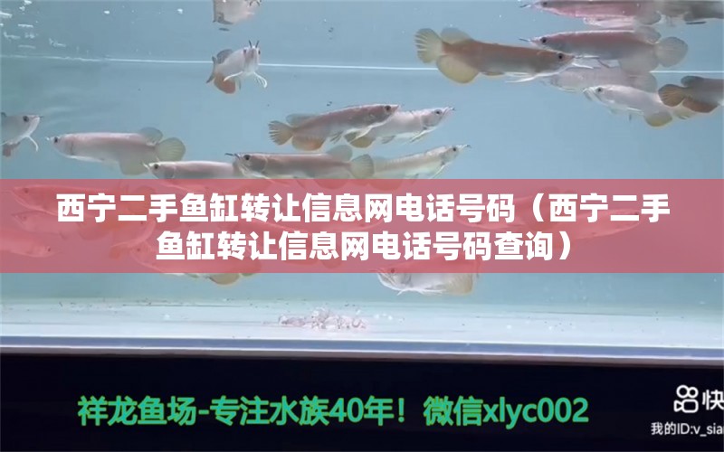 西寧二手魚缸轉(zhuǎn)讓信息網(wǎng)電話號碼（西寧二手魚缸轉(zhuǎn)讓信息網(wǎng)電話號碼查詢）