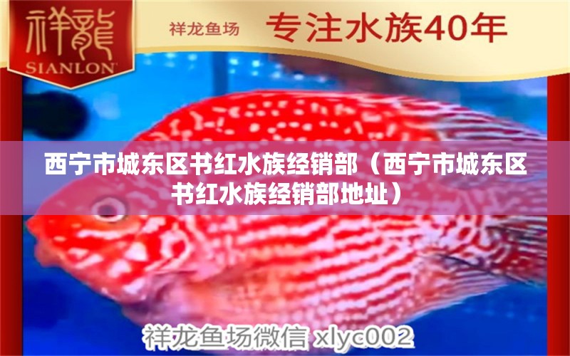 西寧市城東區(qū)書(shū)紅水族經(jīng)銷(xiāo)部（西寧市城東區(qū)書(shū)紅水族經(jīng)銷(xiāo)部地址）