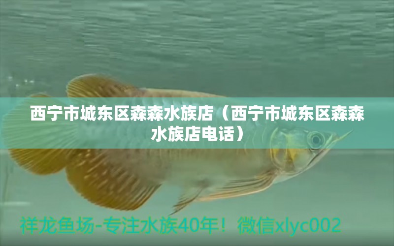 西寧市城東區(qū)森森水族店（西寧市城東區(qū)森森水族店電話）