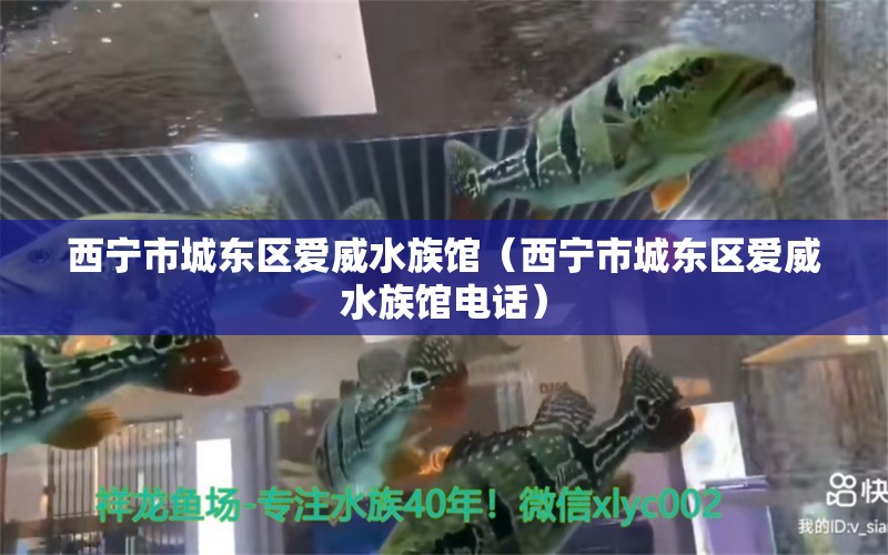 西寧市城東區(qū)愛威水族館（西寧市城東區(qū)愛威水族館電話）