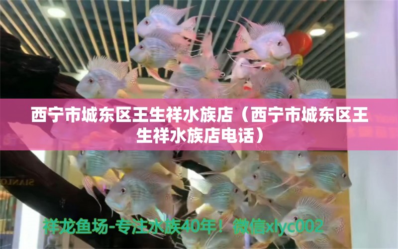 西寧市城東區(qū)王生祥水族店（西寧市城東區(qū)王生祥水族店電話）