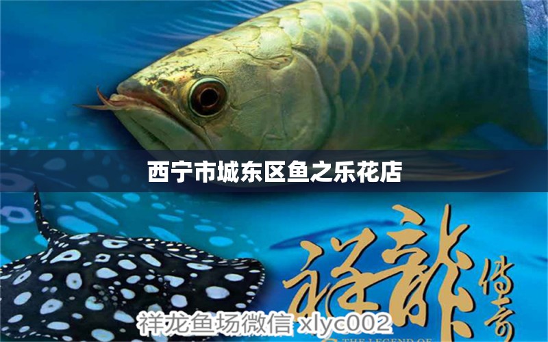 西寧市城東區(qū)魚(yú)之樂(lè)花店 全國(guó)水族館企業(yè)名錄