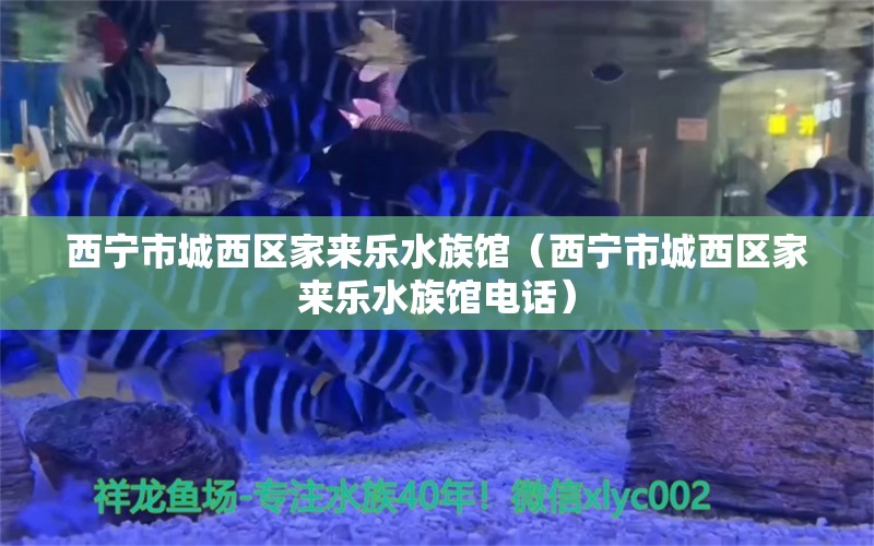 西寧市城西區(qū)家來樂水族館（西寧市城西區(qū)家來樂水族館電話）