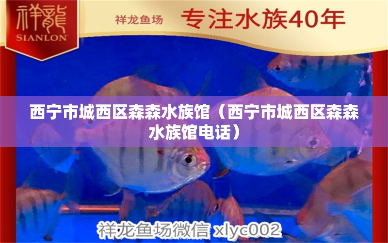 西寧市城西區(qū)森森水族館（西寧市城西區(qū)森森水族館電話）