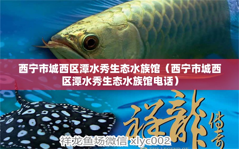 西寧市城西區(qū)潭水秀生態(tài)水族館（西寧市城西區(qū)潭水秀生態(tài)水族館電話）