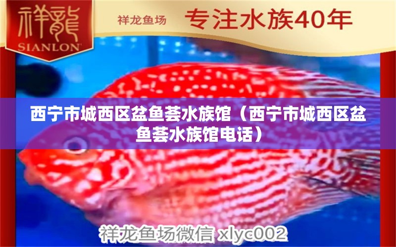 西寧市城西區(qū)盆魚薈水族館（西寧市城西區(qū)盆魚薈水族館電話）