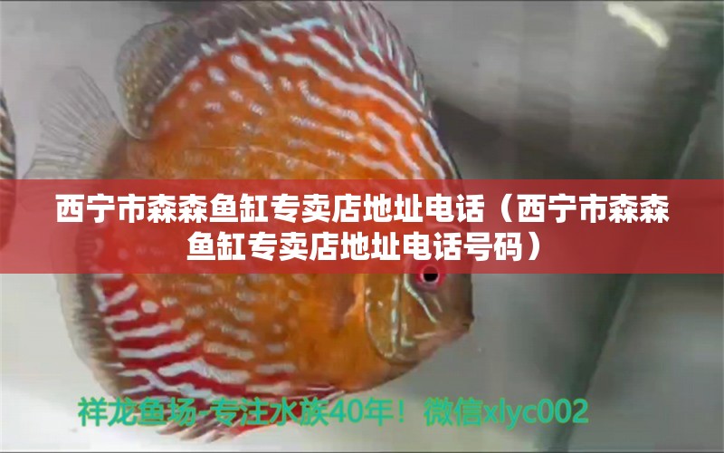 西寧市森森魚(yú)缸專(zhuān)賣(mài)店地址電話（西寧市森森魚(yú)缸專(zhuān)賣(mài)店地址電話號(hào)碼）