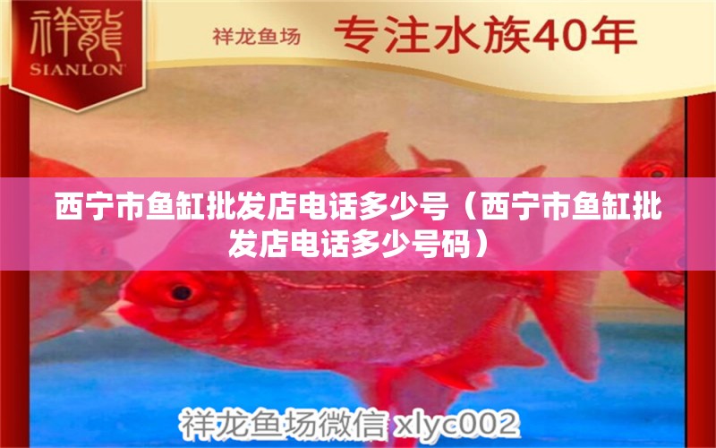 西寧市魚(yú)缸批發(fā)店電話多少號(hào)（西寧市魚(yú)缸批發(fā)店電話多少號(hào)碼）