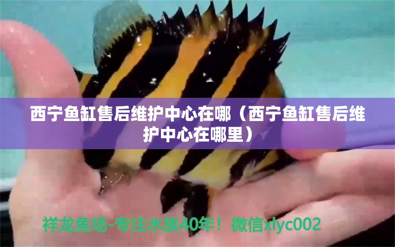 西寧魚缸售后維護(hù)中心在哪（西寧魚缸售后維護(hù)中心在哪里） 其他品牌魚缸