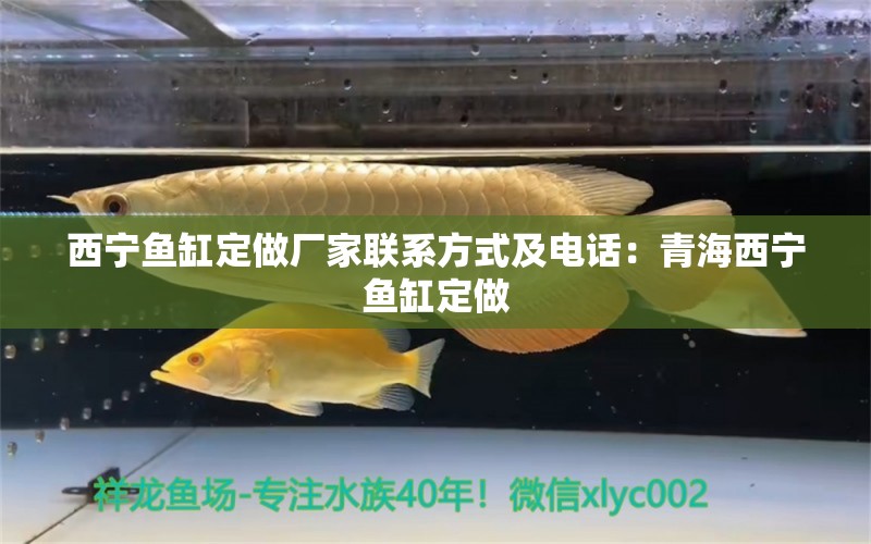 西寧魚缸定做廠家聯(lián)系方式及電話：青海西寧魚缸定做 養(yǎng)魚的好處