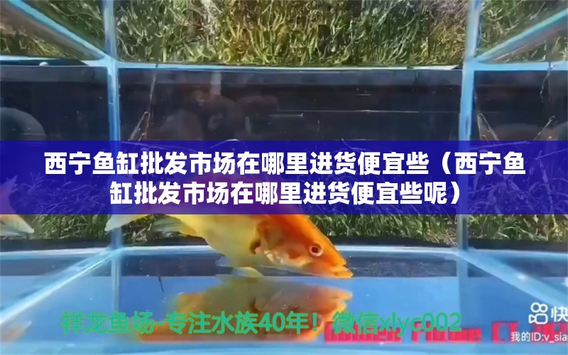 西寧魚缸批發(fā)市場在哪里進(jìn)貨便宜些（西寧魚缸批發(fā)市場在哪里進(jìn)貨便宜些呢）