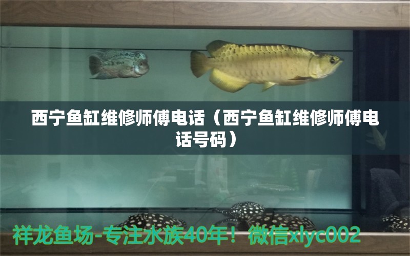 西寧魚缸維修師傅電話（西寧魚缸維修師傅電話號碼） 其他品牌魚缸