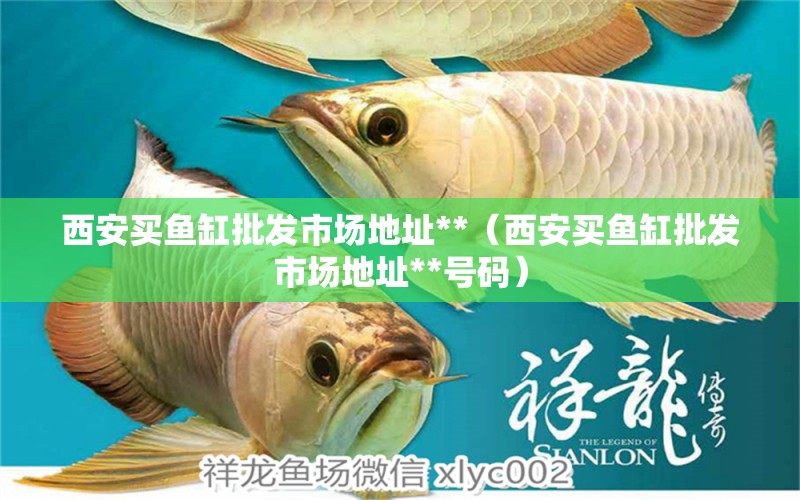 西安買魚缸批發(fā)市場地址**（西安買魚缸批發(fā)市場地址**號碼） 祥龍水族醫(yī)院