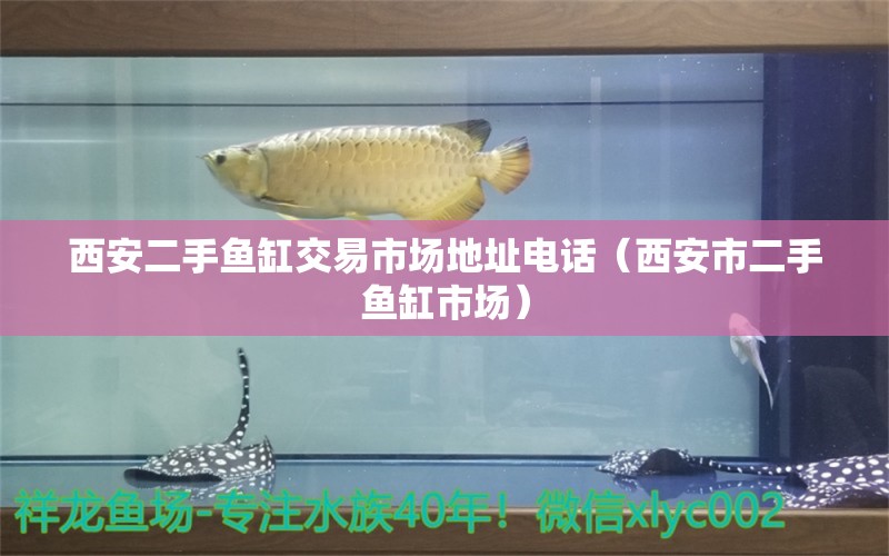 西安二手魚缸交易市場地址電話（西安市二手魚缸市場）