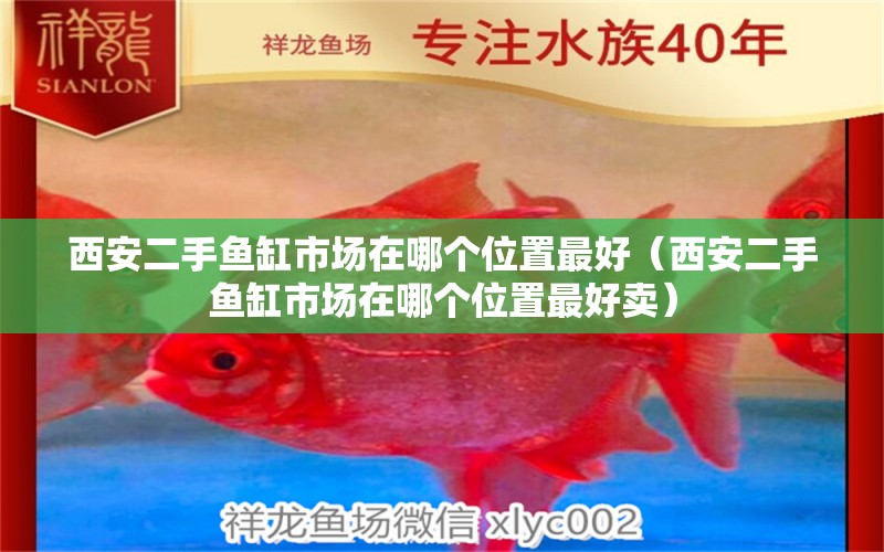 西安二手魚缸市場在哪個位置最好（西安二手魚缸市場在哪個位置最好賣） 祥龍水族醫(yī)院