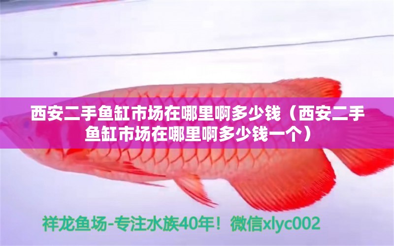 西安二手魚缸市場(chǎng)在哪里啊多少錢（西安二手魚缸市場(chǎng)在哪里啊多少錢一個(gè)） 觀賞魚市場(chǎng)（混養(yǎng)魚）