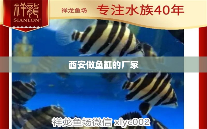 西安做魚缸的廠家