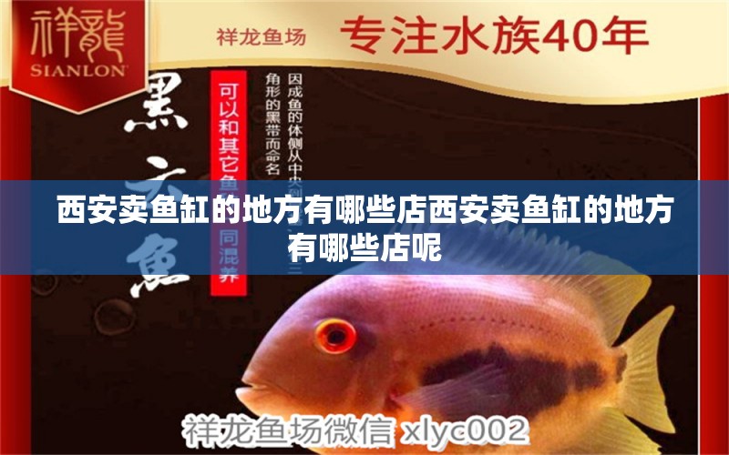 西安賣魚缸的地方有哪些店西安賣魚缸的地方有哪些店呢 廣州觀賞魚批發(fā)市場