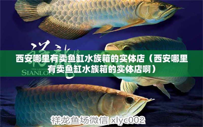 西安哪里有賣魚缸水族箱的實(shí)體店（西安哪里有賣魚缸水族箱的實(shí)體店啊） 魚缸/水族箱