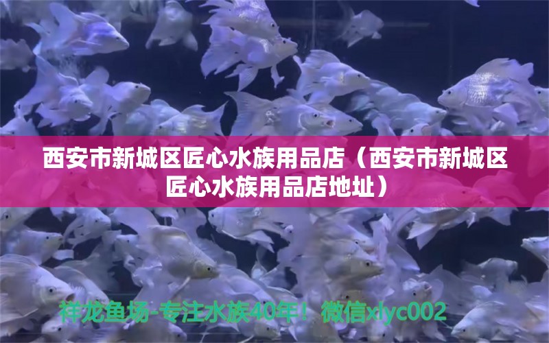 西安市新城區(qū)匠心水族用品店（西安市新城區(qū)匠心水族用品店地址）